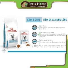 Hạt Royal Canin Skin & Coat hỗ trợ mèo bị viêm da và rụng lông 1,5kg