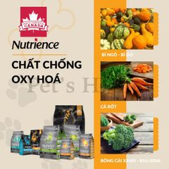 Hạt Nutrience Infusion [500g - 2,27kg] Thức ăn cho chó con, trưởng thành Canada