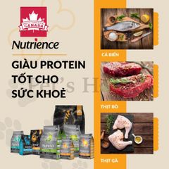 Hạt Nutrience Infusion [500g - 2,27kg] Thức ăn cho chó con, trưởng thành Canada