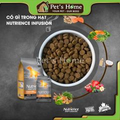 Hạt Nutrience Infusion [500g - 2,27kg] Thức ăn cho chó con, trưởng thành Canada