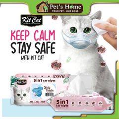 Khăn ướt kháng khuẩn cho mèo KIT CAT