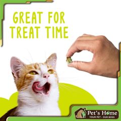 Bánh thưởng Friskies Party Mix snack dạng viên giòn, nhiều hương vị thơm ngon cho mèo chính hãng Mỹ
