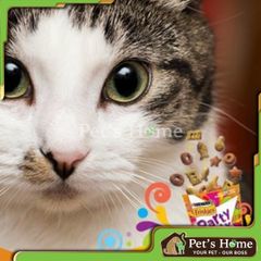 Bánh thưởng Friskies Party Mix snack dạng viên giòn, nhiều hương vị thơm ngon cho mèo chính hãng Mỹ