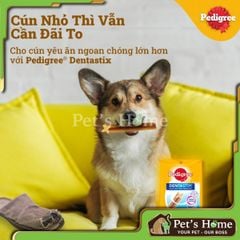 Xương gặm sạch răng Denta Stix cho chó