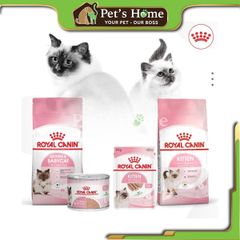 Hạt Royal Canin BabyCat cho mèo mẹ và mèo con