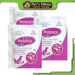 Men tiêu hoá Vemedim Probisol men vi sinh hỗ trợ tiêu hoá, chứa vi sinh hữu ích cho chó mèo nội địa