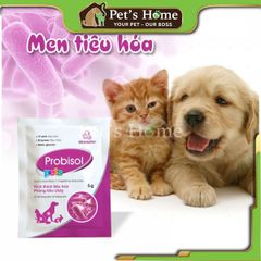 Men tiêu hoá Vemedim Probisol men vi sinh hỗ trợ tiêu hoá, chứa vi sinh hữu ích cho chó mèo nội địa