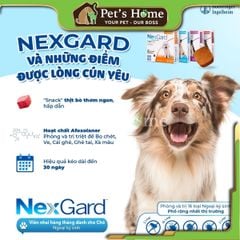 Viên nhai NexGard phòng và trị ve cho chó