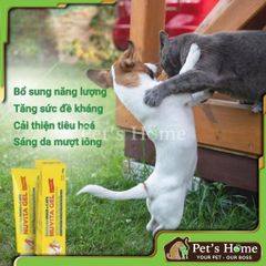 Gel dinh dưỡng Nuvita Gel thực phẩm bổ sung vitamin, khoáng chất cần thiết cho chó mèo nội địa