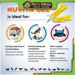 Gel dinh dưỡng Nuvita Gel thực phẩm bổ sung vitamin, khoáng chất cần thiết cho chó mèo nội địa