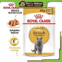 Pate Royal Canin British Shorthair thức ăn uớt mềm cho giống mèo Anh Lông Ngắn Pháp gói 85g