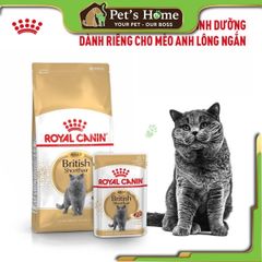 Pate Royal Canin British Shorthair thức ăn uớt mềm cho giống mèo Anh Lông Ngắn Pháp gói 85g