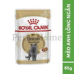 Pate Royal Canin British Shorthair thức ăn uớt mềm cho giống mèo Anh Lông Ngắn Pháp gói 85g