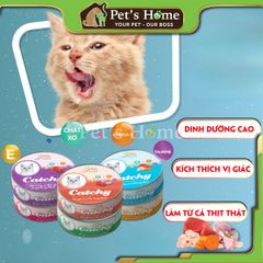 Pate 5Plus Catchy thức ăn ướt dạng thạch mềm giúp cải thiện hệ tiêu hoá cho mèo nội địa lon 170g