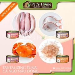 Pate Aatas thức ăn ướt mềm vị cá ngừ mix giúp bổ sung Vitamin cho mèo Singapore gói 80g