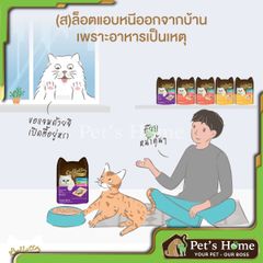 Pate Bellotta thức ăn ướt mềm chứa Taurine tốt cho hệ thần kinh và thị lực của mèo Thái Lan gói 85g