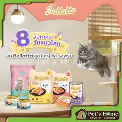 Pate Bellotta thức ăn ướt mềm chứa Taurine tốt cho hệ thần kinh và thị lực của mèo Thái Lan gói 85g