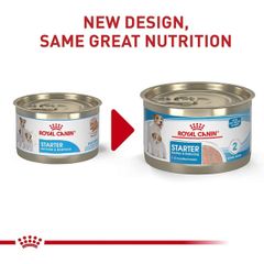 Pate Royal Canin Mini Mother & Babydog Mousse thức ăn mềm ướt cho chó mẹ và con giống nhỏ Pháp lon 195g