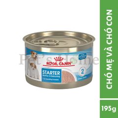 Pate Royal Canin Mini Mother & Babydog Mousse thức ăn mềm ướt cho chó mẹ và con giống nhỏ Pháp lon 195g
