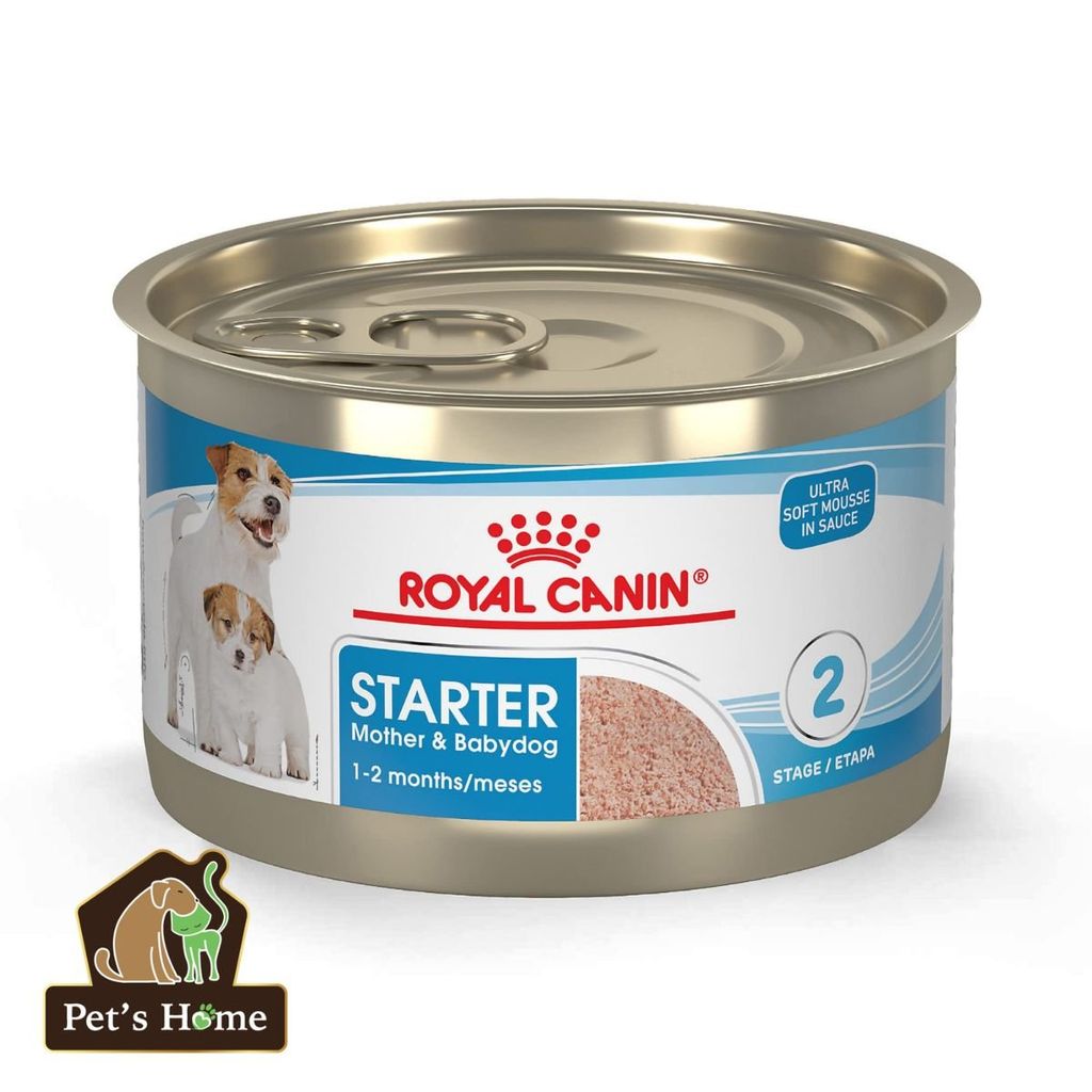 Pate Royal Canin Mini Mother & Babydog Mousse thức ăn mềm ướt cho chó mẹ và con giống nhỏ Pháp lon 195g