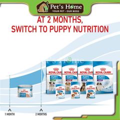 Pate Royal Canin Mini Mother & Babydog Mousse thức ăn mềm ướt cho chó mẹ và con giống nhỏ Pháp lon 195g