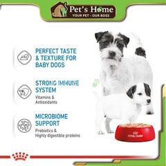 Pate Royal Canin Mini Mother & Babydog Mousse thức ăn mềm ướt cho chó mẹ và con giống nhỏ Pháp lon 195g