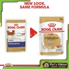 Pate Royal Canin thức ăn mềm ướt kích thích ăn uống, cung cấp Omega 3 cho giống chó Chihuahua Pháp gói 85g