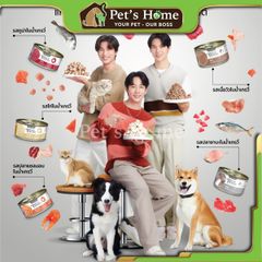 Pate Felina Canino thức ăn mềm giàu đạm và Omega 3, hỗ trợ tiêu hoá cho mèo Thái Lan lon 70g