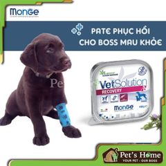 Pate Monge VetSolution Recovery - thức ăn mềm ướt cho chó Phục hồi sức khỏe Ý khay 150g