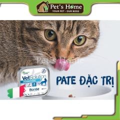 Pate Monge VetSolution thức ăn ướt mềm cho mèo Ý 100g