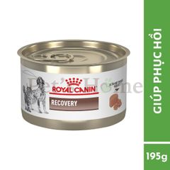 Pate Royal Canin Recovery thức ăn mềm ướt giúp phục hồi và kích thích sự thèm ăn cho chó mèo Pháp lon 195g