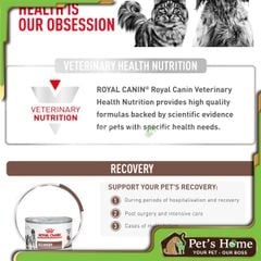 Pate Royal Canin Recovery thức ăn mềm ướt giúp phục hồi và kích thích sự thèm ăn cho chó mèo Pháp lon 195g