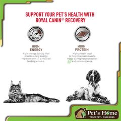 Pate Royal Canin Recovery thức ăn mềm ướt giúp phục hồi và kích thích sự thèm ăn cho chó mèo Pháp lon 195g