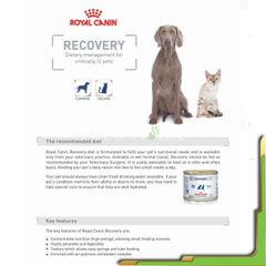 Pate Royal Canin Recovery thức ăn mềm ướt giúp phục hồi và kích thích sự thèm ăn cho chó mèo Pháp lon 195g