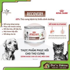 Pate Royal Canin Recovery thức ăn mềm ướt giúp phục hồi và kích thích sự thèm ăn cho chó mèo Pháp lon 195g