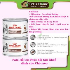 Pate Royal Canin Recovery thức ăn mềm ướt giúp phục hồi và kích thích sự thèm ăn cho chó mèo Pháp lon 195g
