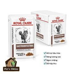 Pate Royal Canin Gastro Intestinal cho mèo 100g