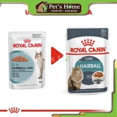 Pate Royal Canin Hairball Care thức ăn ướt mềm ngăn ngừa và loại bỏ búi lông cho mèo Pháp gói 85g