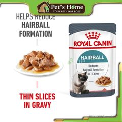 Pate Royal Canin Hairball Care thức ăn ướt mềm ngăn ngừa và loại bỏ búi lông cho mèo Pháp gói 85g