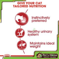 Pate Royal Canin Instinctive thức ăn ướt tăng sức đề kháng cho mèo trưởng thành Pháp gói 85g