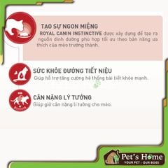 Pate Royal Canin Instinctive thức ăn ướt tăng sức đề kháng cho mèo trưởng thành Pháp gói 85g