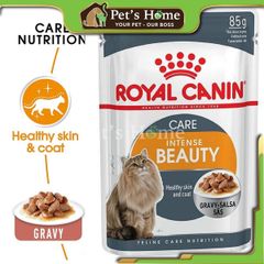 Pate Royal Canin Intense Beauty Jelly thức ăn ướt mềm giúp dưỡng da và lông cho mèo Pháp gói 85g