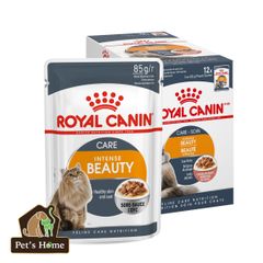 Pate Royal Canin Intense Beauty Jelly thức ăn ướt mềm giúp dưỡng da và lông cho mèo Pháp gói 85g