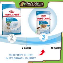 Pate Royal Canin Mini Puppy thức ăn mềm ướt bổ sung dinh dưỡng cho chó con giống nhỏ Pháp gói 85g