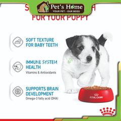 Pate Royal Canin Mini Puppy thức ăn mềm ướt bổ sung dinh dưỡng cho chó con giống nhỏ Pháp gói 85g