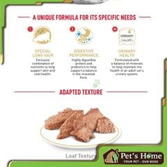 Pate Royal Canin Persian thức ăn ướt dành cho mèo Ba Tư Pháp gói 85g