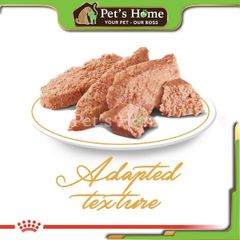 Pate Royal Canin Persian thức ăn ướt dành cho mèo Ba Tư Pháp gói 85g
