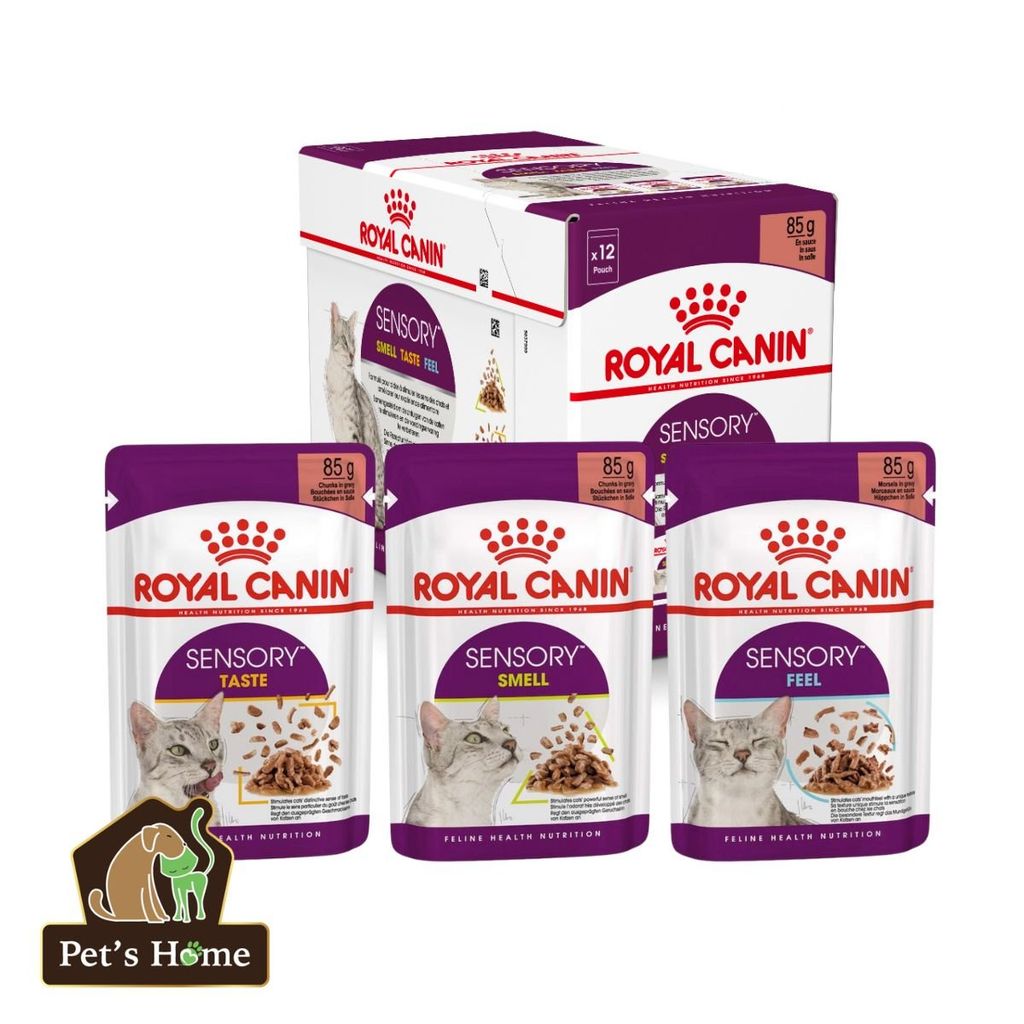 Pate Royal Canin Sensory Feline thức ăn ướt mềm kích thích ăn uống cho mèo biếng ăn Pháp gói 85g