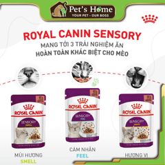 Pate Royal Canin Sensory Feline thức ăn ướt mềm kích thích ăn uống cho mèo biếng ăn Pháp gói 85g