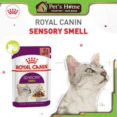 Pate Royal Canin Sensory Feline thức ăn ướt mềm kích thích ăn uống cho mèo biếng ăn Pháp gói 85g